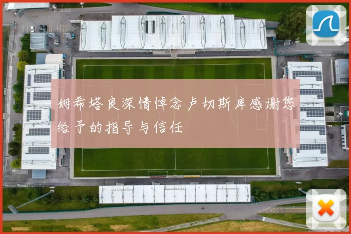 姆希塔良深情悼念卢切斯库感谢您给予的指导与信任